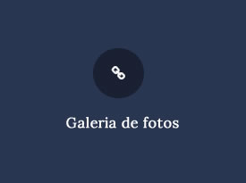 Galeria de fotos